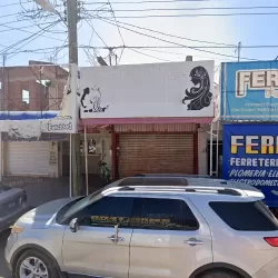 Novedades vargas