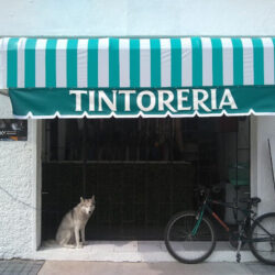 Tintorería y lavandería Lupita
