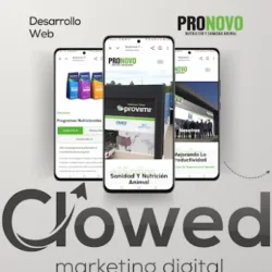 Clowed Marketing Digital