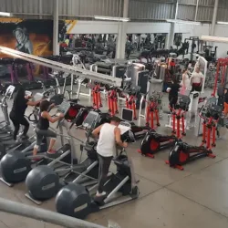 Muscle GYM