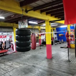 Gimnasio de box tigre flores
