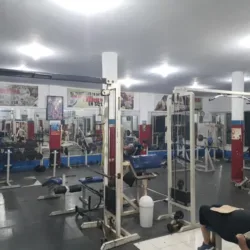 New Body Gym