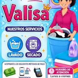 Lavandería Valisa