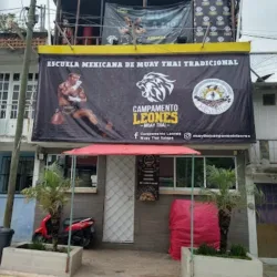 Campamento Leones MuayThai