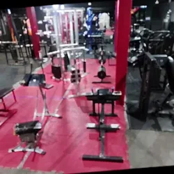 Fitness Machine GYM