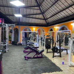 Mr. Murga Gym