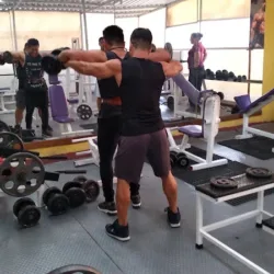 Flex Sport GYM FURIA Y FIGURA