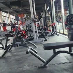 MF Lux Gym