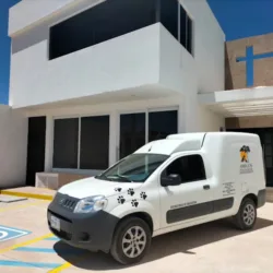 Crematorio de Mascotas Amigos por Siempre