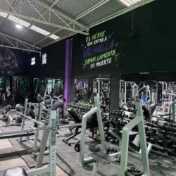 VALHALLA GYM