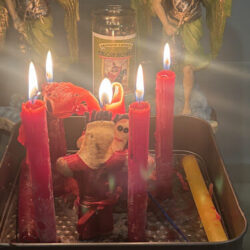 Lectura de tarot y amarres madam