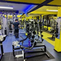 PSAS-PROGYM