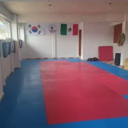 Instituto de Taekwondo Daehan