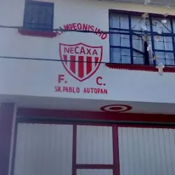 Monumento Necaxa F.C.