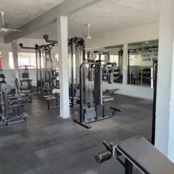 Panda's Gym