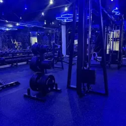 Total Gym Preferred Recovery