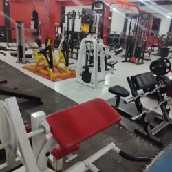 Gym Connection