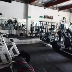 Evolution Gym