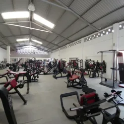 Temple Gym