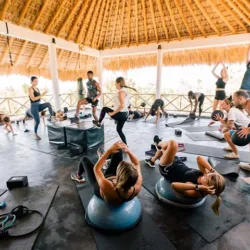 SHRED Fitness & Yoga – Néctar