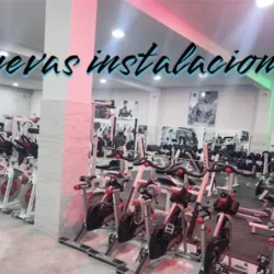 VAMFIT GYM
