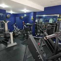 Aslan World Gym