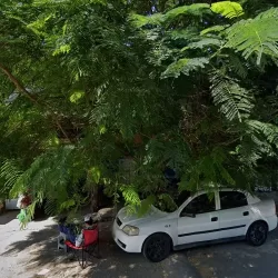 Papelería yaya