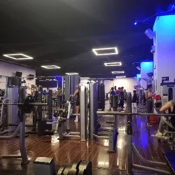 Fitsi Buenavista
