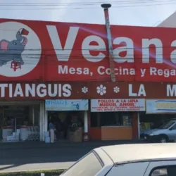 Veana La Margarita