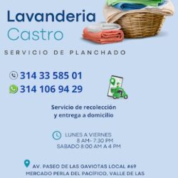 Lavandería Castro II Servicio de Planchado