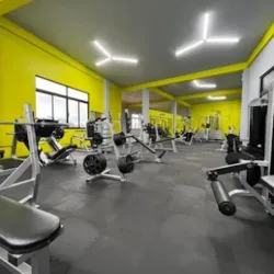 ALFA FITNESS & GYM