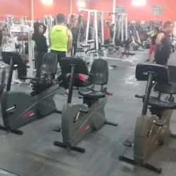 Master Gym