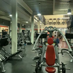 FIT