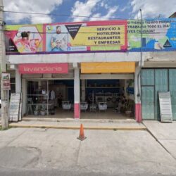 Tintorería