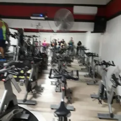 Body Fitness