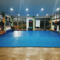 Mma Palominos