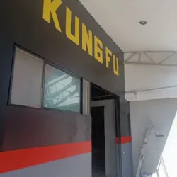 DRAGONES GYM KUNG FU