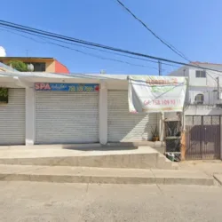 LA JUNGLA
