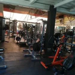 Holiday Gym