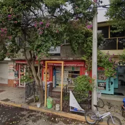 Abarrotes , papelería y merceria " La panterita"