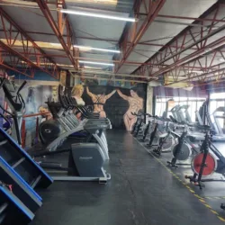 Steel Gym