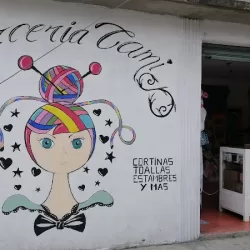 Mercerías Cami Chalco