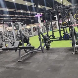 Trainer Gym Polanco
