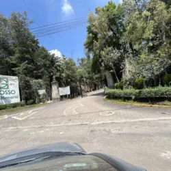 Panteón Cipreses