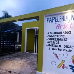 Papelería y novedades Arlette