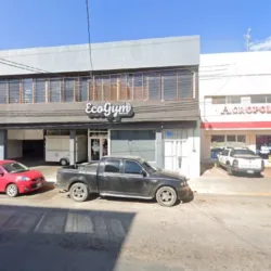 EcoGym Zona Centro