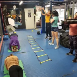 Knockout Gym Box