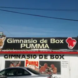 Gimnasio de Box Pumma