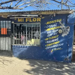 Papeleria Y Merceria Mi Flor