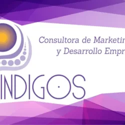 Indigos Consultora
